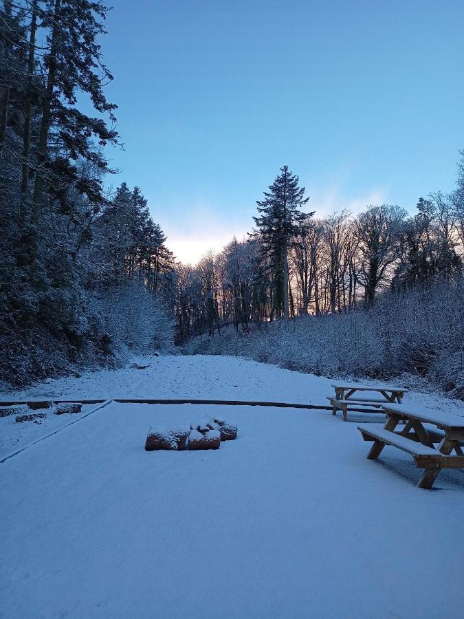 The West Wing At Eriviat Hall Hot Tub Henllan  Экстерьер фото
